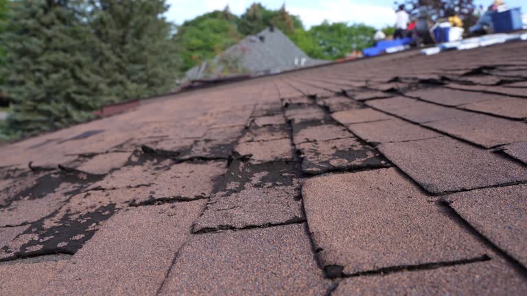 Best Rubber Roofing (EPDM, TPO)  in Anthony, TX